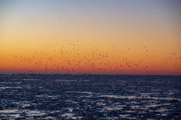 istock dramatic red sunset over the frozen sea on the beach 1092790802