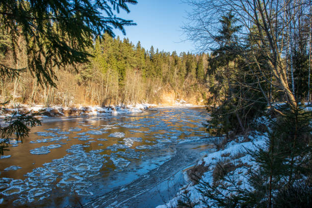istock sandstone cliffs on the shore of river Gauja in Latvia 1092793048