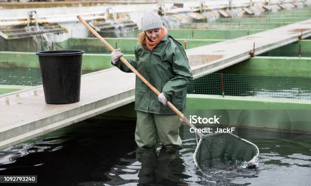 Frauen Stehen In Fish Tank Angeln Auf Stör Mit Kescher Stockfoto und mehr Bilder von Fischzuchtgewässer