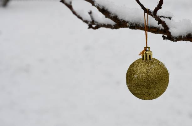 istock New Year's jewelry on the tree branch 1092796030