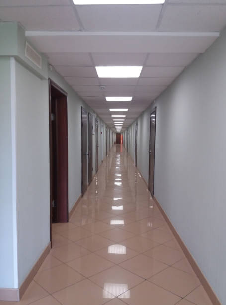istock A long white hall with dark wood doors 1092799838
