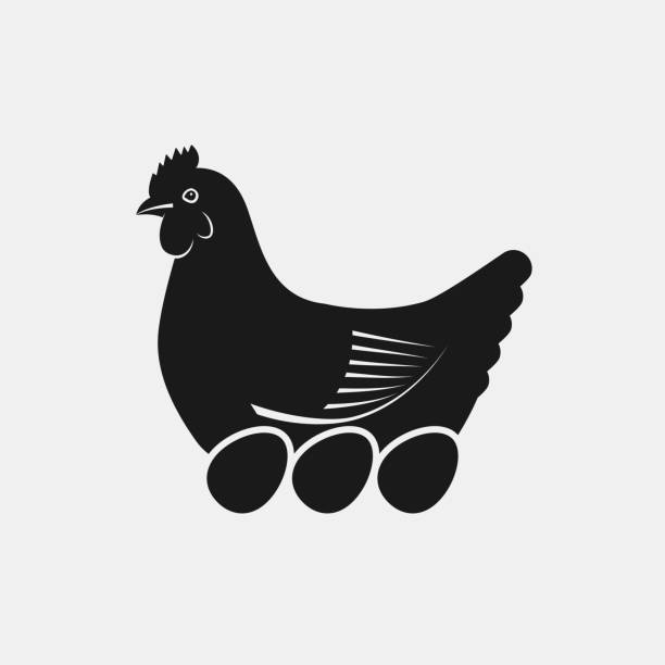 verlegung auf henne eier schwarze silhouette seitenansicht. bauernhof-tiere-symbol - livestock isolated young animal chicken stock-grafiken, -clipart, -cartoons und -symbole