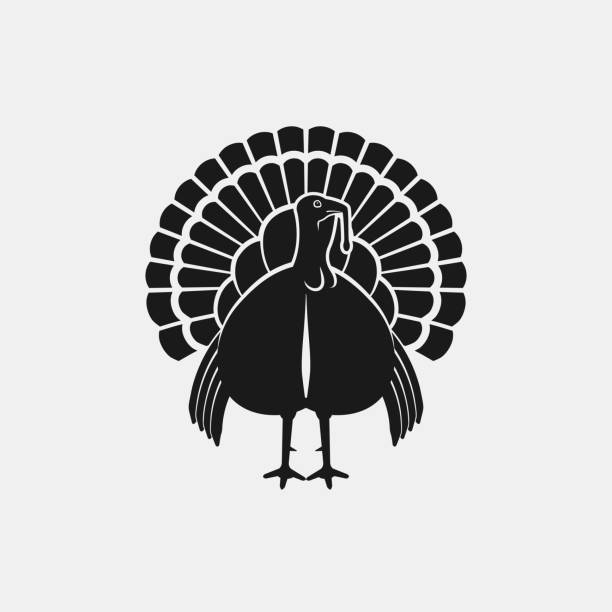 illustrazioni stock, clip art, cartoni animati e icone di tendenza di turchia maschio silhouette vista frontale. icona animale agricolo - turkey thanksgiving farm meal