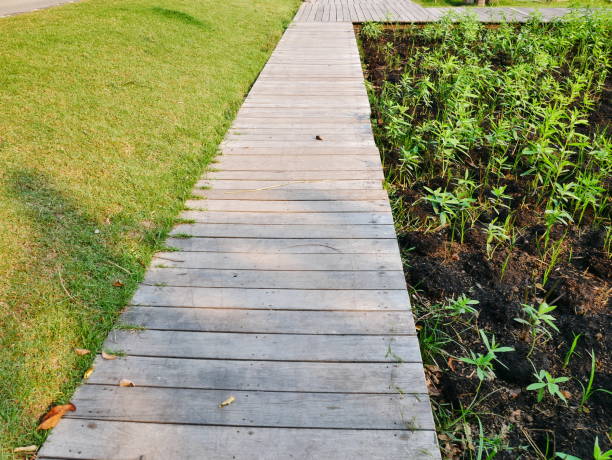 istock Wooden platform and tropical idyllic abstract 1092806800