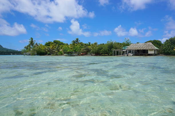 istock Islet shoreline and shallow water French Polynesia 1092806958