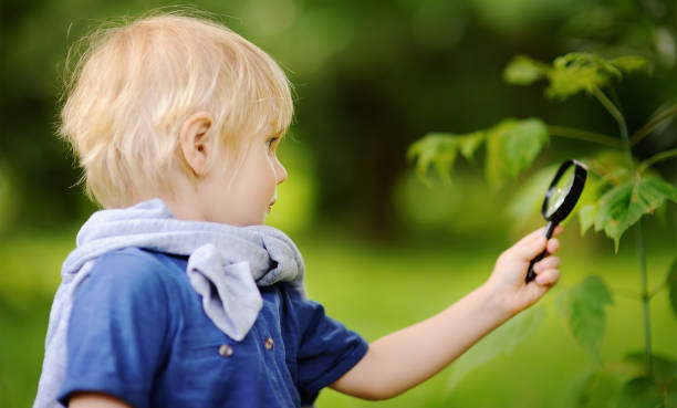 istock Charming kid exploring nature with magnifying glass 1092811518