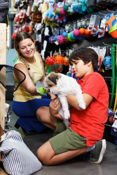 istock Family choosing dogs accessories 1092818996