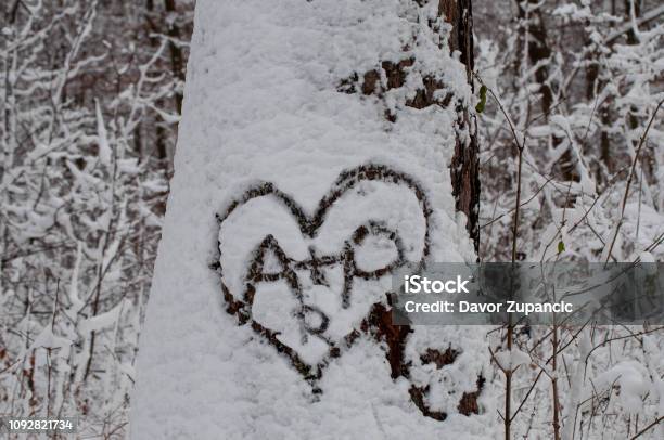 Frozn Herz Stockfoto und mehr Bilder von Baum - Baum, Deutschland, Fotografie