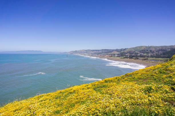 istock Superbloom at Mori Point, Pacifica, San Francisco bay, California 1092827756