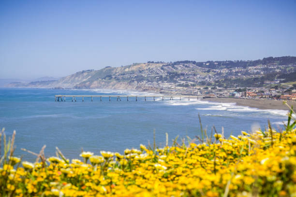 istock Superbloom at Mori Point, Pacifica, San Francisco bay, California 1092827772