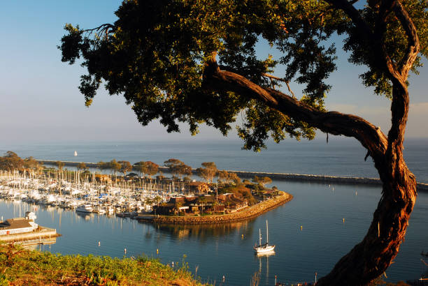 istock The harbor at Dana Point California 1092830672