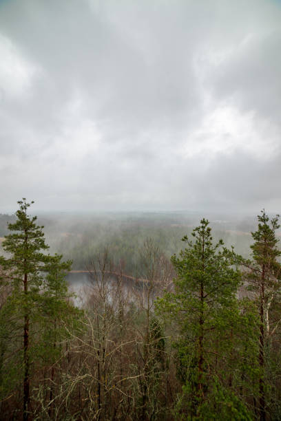istock misty forest in winter. far horizon 1092836942