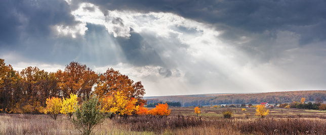 Autumn rural landscape, panorama, banner - view on meadow and forest in the rays of sun