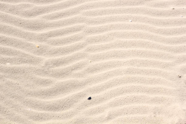 istock Rippled sand on the sea coast formed by wind and water, background 1092840932
