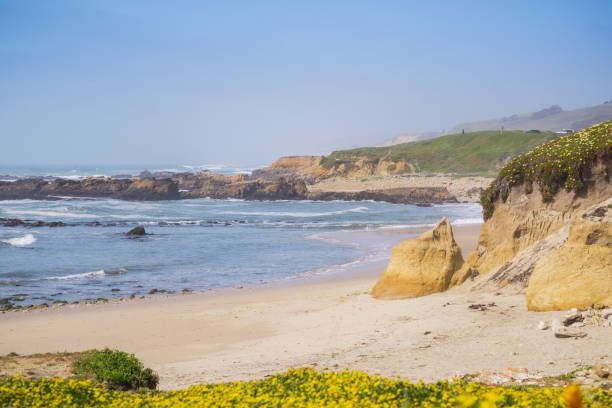 istock Pescadero State Beach, Pacific Ocean Coastline, California 1092848010