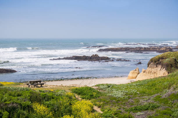 istock Pescadero State Beach, Pacific Ocean Coastline, California 1092848014