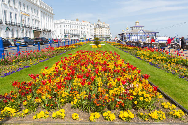 Beautiful flowers and spring sunshine Eastbourne, East Sussex, on Sunday 22nd April 2018 Beautiful flowers and spring sunshine were enjoyed by visitors to Eastbourne, East Sussex, on Sunday 22nd April 2018 eastbourne pier photos stock pictures, royalty-free photos & images