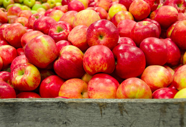 istock ripe apples in wooden crate 1092865860