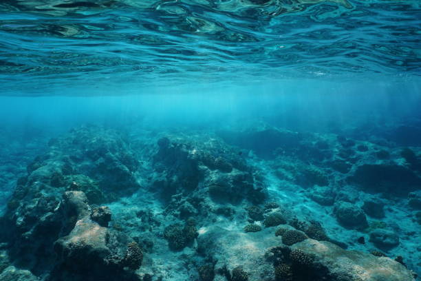 istock Underwater sea surface clear water rocky seabed 1092872728