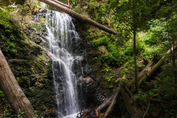 istock Waterfall in Big Basin State park, San Francisco bay area, California 1092873838