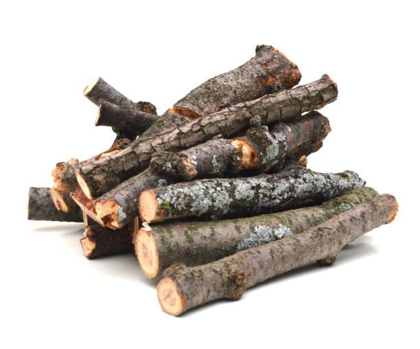 istock Wooden logs 1092884760