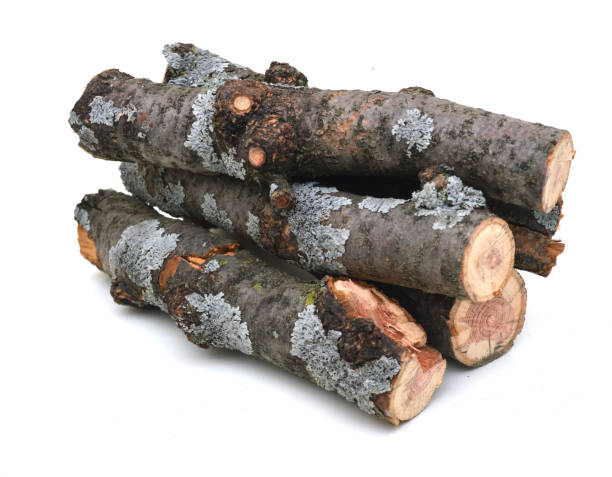 istock Pile of Brown logs, isolated on white 1092885056
