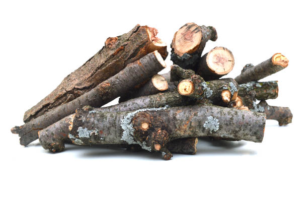 istock A pile of wooden Logs 1092885176