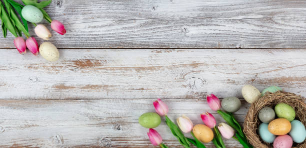istock Springtime tulips and colorful eggs on rustic wooden boards for Easter holiday background 1092888448