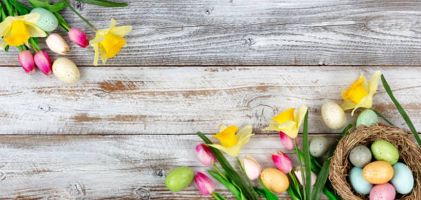 istock Springtime tulips and daffodils with colorful eggs on rustic wooden boards for Easter holiday background 1092888490