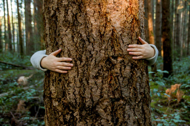 istock Trees deserve love too 1092896326