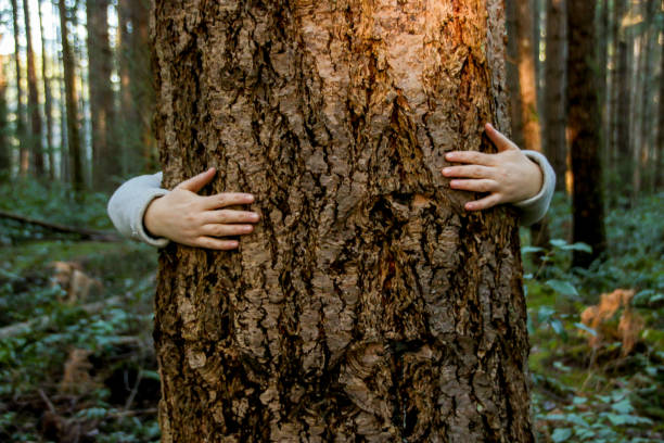 istock Trees deserve love too 1092896426