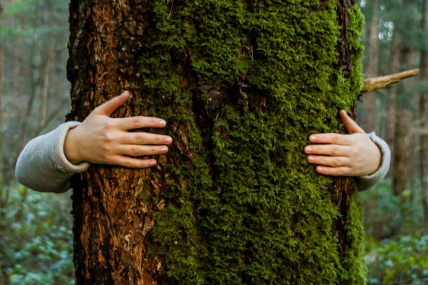 istock Trees deserve love too 1092896542