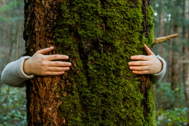 istock Trees deserve love too 1092896630