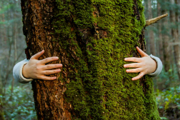istock Trees deserve love too 1092896746