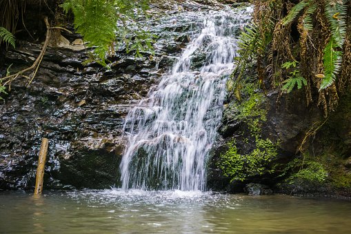 Tiptoe waterfall in Portola Redwoods State Park, California