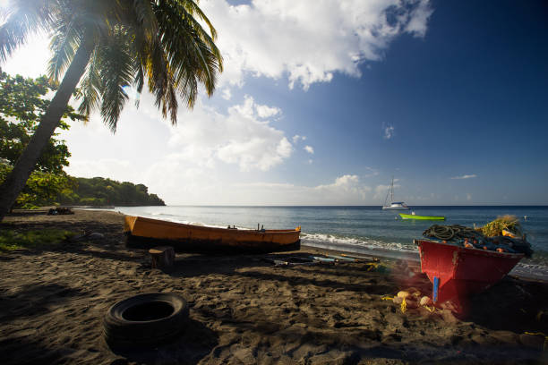 istock Beach on Dominica, Carribean Sea 1092920550