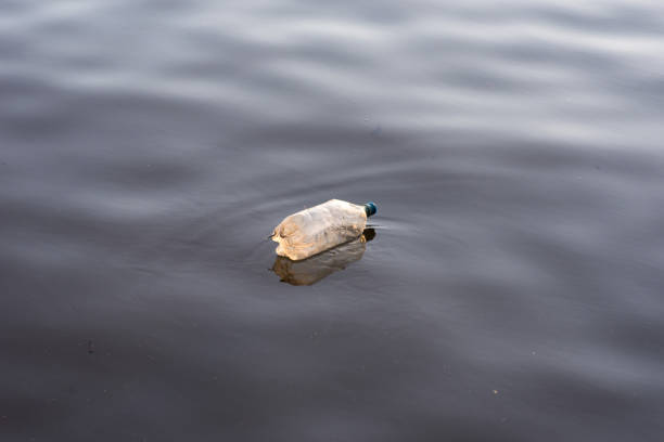 istock plastic bottle litter floating in lake 1092932576