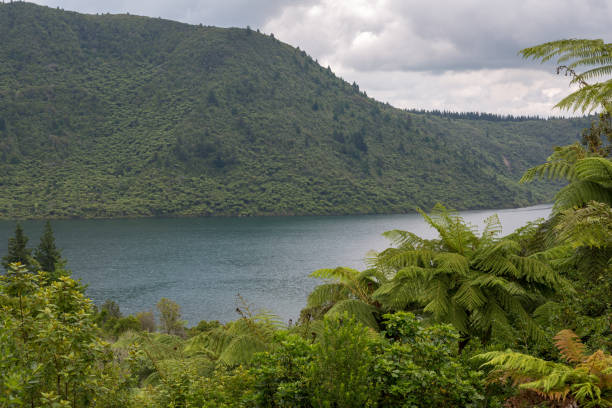 istock The Blue Lake - Tikitapu - Rotorua 1092941812