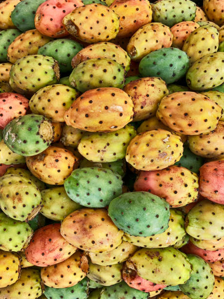 istock Colored Fruit Of The Prickly Pear Cactus 1092953626