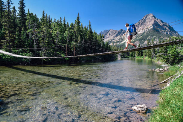 park narodowy lodowca - us glacier national park zdjęcia i obrazy z banku zdjęć