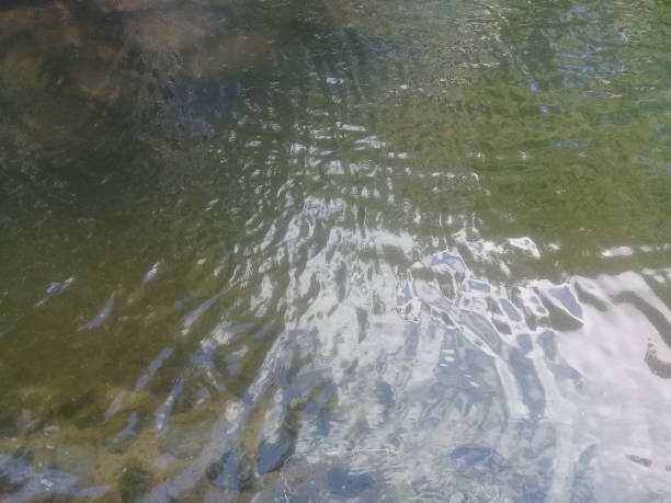 istock Transparent water surface with copy space for background and texture 1092995712