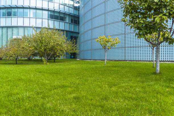 istock Buildings and green lawn 1093036196