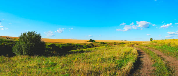 istock Sunny summer panorama with ground country road passing through the fields and green meadows with lush grasses. 1093041198