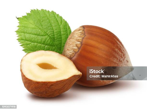 Hazelnuts And Leaf On White Background Stock Photo - Download Image Now - Hazelnut, Cut Out, White Background
