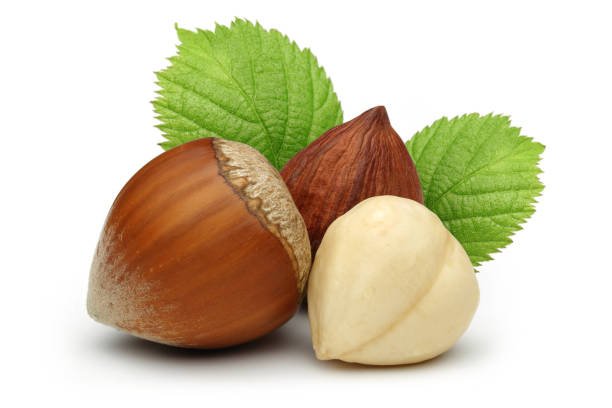 Hazelnuts and leaves isolated on white background Hazelnuts and leaves isolated on white background hazelnut stock pictures, royalty-free photos & images