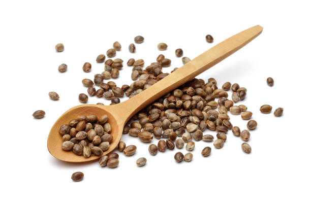 istock Hemp seeds with wooden spoon 1093073048