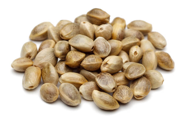istock Dried hemp seeds isolated on white background 1093073106