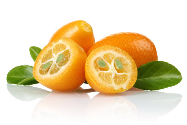 istock Fresh kumquats and leaf 1093077632