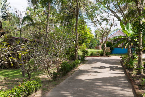 istock The road to the Park. 1093082464