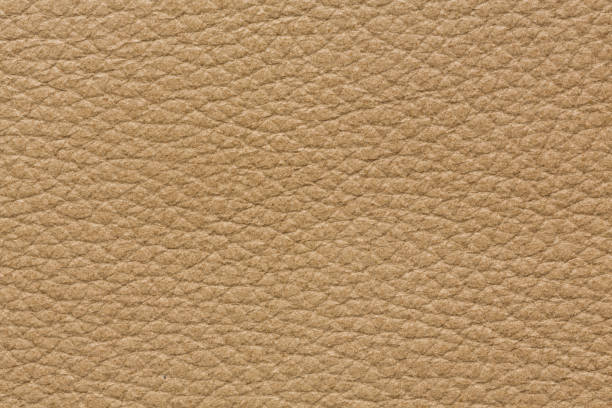 istock Perfective leather background in light beige tone. 1093094508